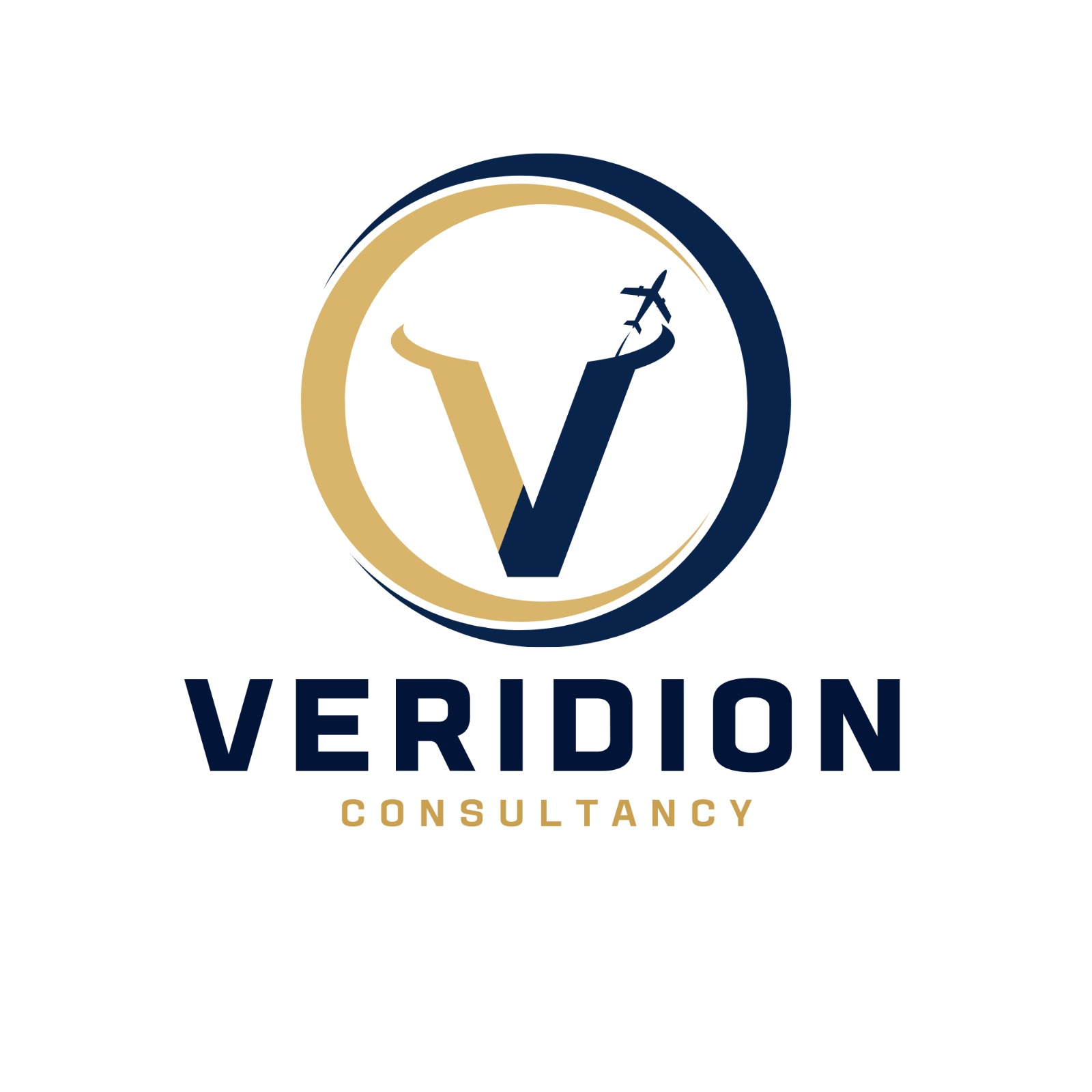 Veridion Consultancy Logo